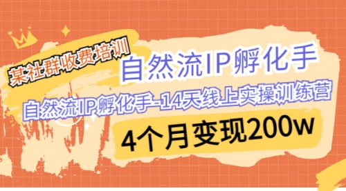 【副业项目7109期】自然流IP孵化手-14天线上实操训练营 4个月变现200w-吉祥副业