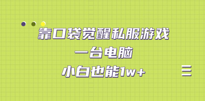 【副业项目7248期】靠口袋觉醒私服游戏，一台电脑，小白也能1w+（教程+工具+资料）-吉祥副业