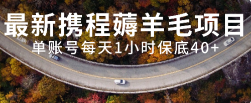 【副业项目8232期】最新携程薅羊毛项目，单账号每天1小时保底收益40+，可矩阵操作-吉祥副业