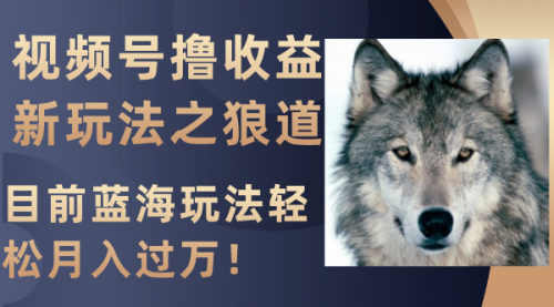 【副业项目8271期】视频号撸收益新玩法之狼道，目前蓝海玩法轻松月入过万！-吉祥副业