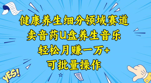 【副业项目8638期】健康养生细分领域赛道，卖音药U盘养生音乐，轻松月赚一万+，可批量操作-吉祥副业