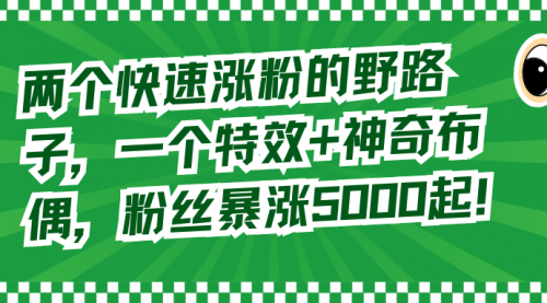 【副业8723期】两个快速涨粉的野路子，一个特效+神奇布偶，粉丝暴涨5000起！-吉祥副业