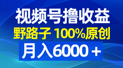 【副业8771期】视频号野路子撸收益，100%原创，条条爆款，月入6000＋-吉祥副业