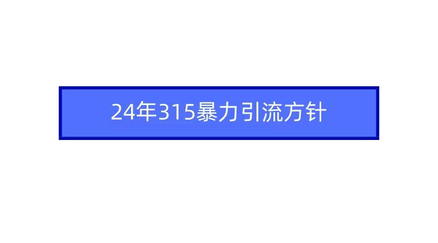 2024年315暴力引流方针-吉祥副业