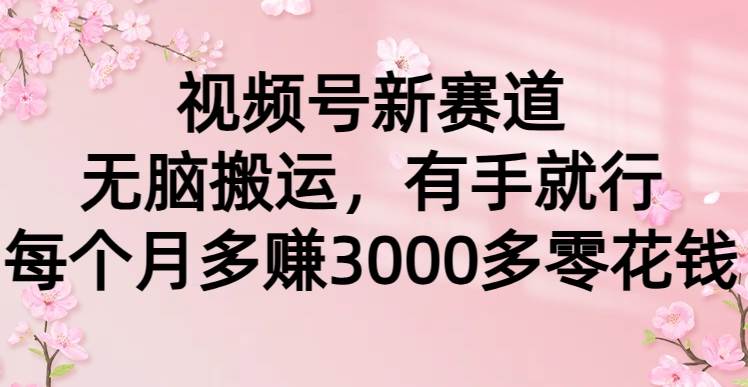 视频号新赛道，无脑搬运，有手就行，每个月多赚3000多零花钱-吉祥副业