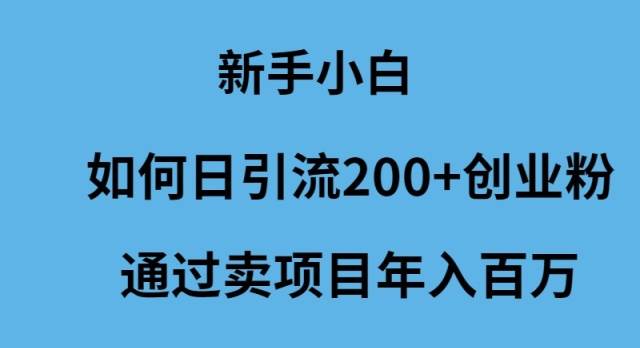新手小白如何日引流200+创业粉通过卖项目年入百万-吉祥副业