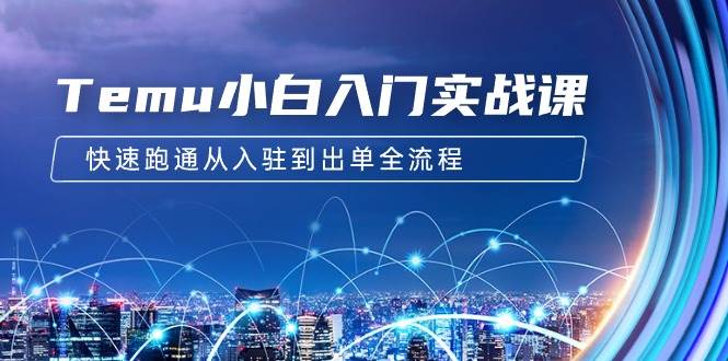 Temu小白入门实战课：跨境拼多多电商培训 快速跑通从入驻到出单全流程-12节-吉祥副业