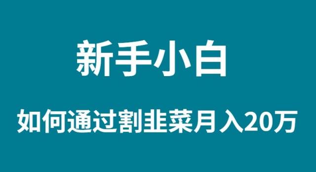新手小白如何通过割韭菜月入 20W-吉祥副业