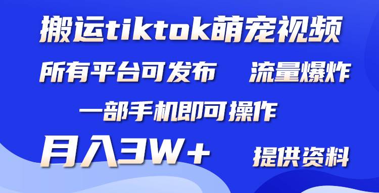 搬运Tiktok萌宠类视频，一部手机即可。所有短视频平台均可操作，月入3W+-吉祥副业