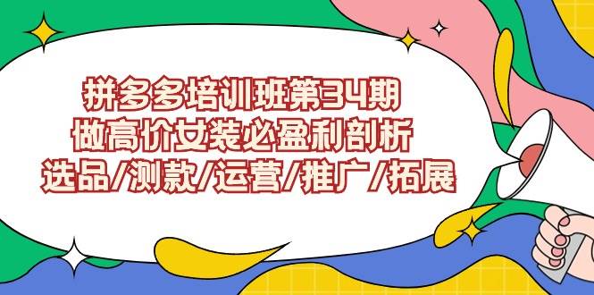 拼多多培训班第34期：做高价女装必盈利剖析  选品/测款/运营/推广/拓展-吉祥副业