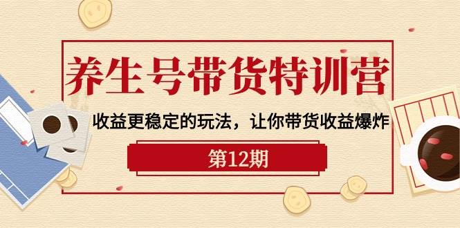 养生号带货特训营【12期】收益更稳定的玩法，让你带货收益爆炸-9节直播课-吉祥副业