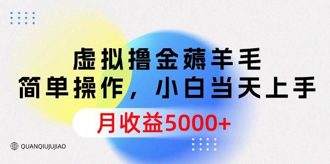 虚拟撸金薅羊毛，简单操作，小白当天上手，月收益5000+-吉祥副业