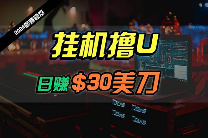 日赚30美刀，2024最新海外挂机撸U内部项目，全程无人值守，可批量放大-吉祥副业