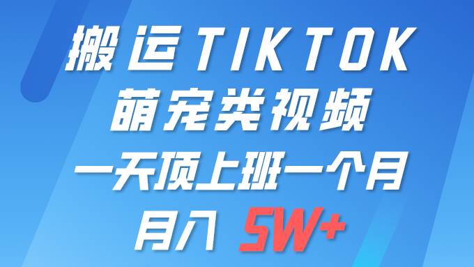 一键搬运TIKTOK萌宠类视频 一部手机即可操作 所有平台均可发布 轻松月入5W+-吉祥副业