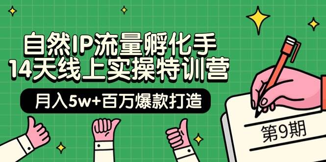 自然IP流量孵化手 14天线上实操特训营【第9期】月入5w+百万爆款打造 (74节)-吉祥副业