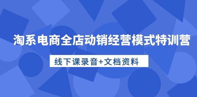 淘系电商全店动销经营模式特训营，线下课录音+文档资料-吉祥副业