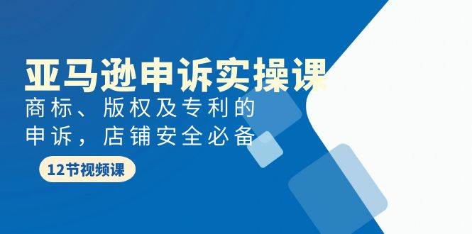 亚马逊-申诉实战课，商标、版权及专利的申诉，店铺安全必备-吉祥副业