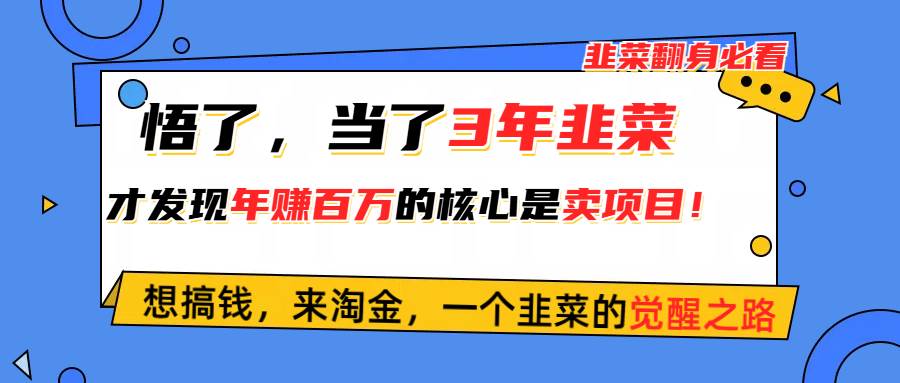 悟了，当了3年韭菜，才发现网赚圈年赚100万的核心是卖项目，含泪分享！-吉祥副业