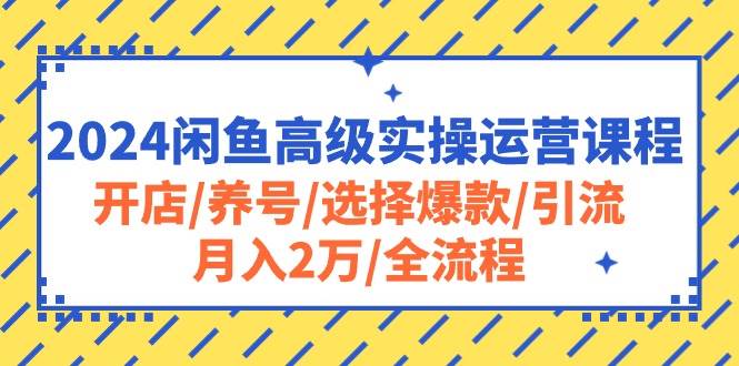 2024闲鱼高级实操运营课程：开店/养号/选择爆款/引流/月入2万/全流程-吉祥副业