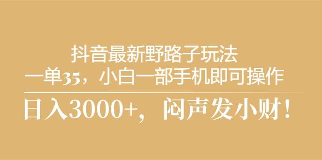 抖音最新野路子玩法，一单35，小白一部手机即可操作，，日入3000+，闷…-吉祥副业