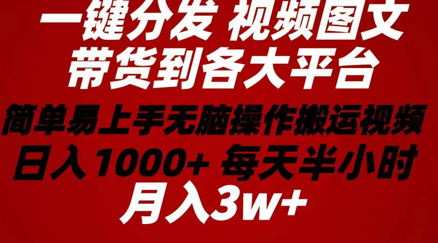 2024年 一键分发带货图文视频  简单易上手 无脑赚收益 每天半小时日入1…-吉祥副业