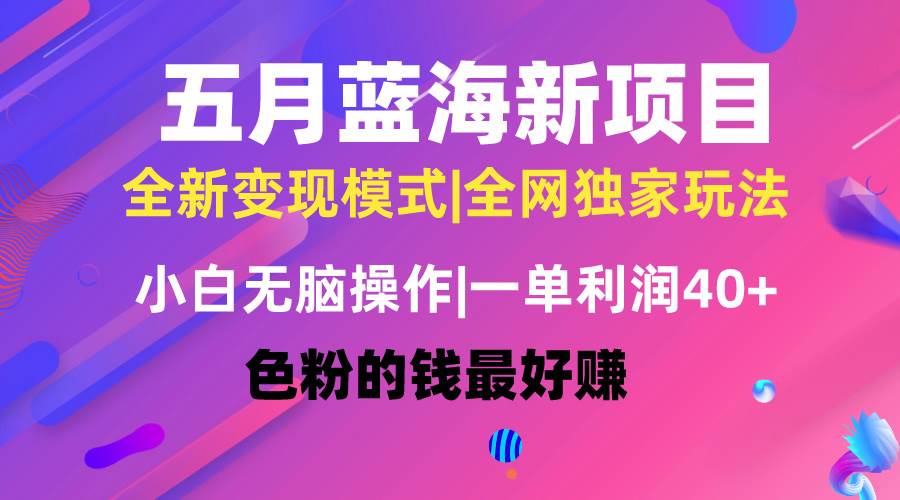 五月蓝海项目全新玩法，小白无脑操作，一天几分钟，矩阵操作，月入4万+-吉祥副业