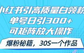 小红书引高质量白领粉，单号日引300+，可放大操作，爆粉秘籍！30s一个作品-吉祥副业