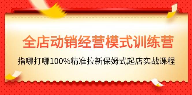 全店动销-经营模式训练营，指哪打哪100%精准拉新保姆式起店实战课程-吉祥副业