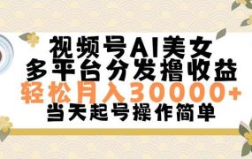 视频号AI美女，轻松月入30000+,操作简单轻松上手-吉祥副业