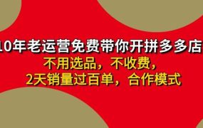 拼多多 最新合作开店日收4000+两天销量过百单,无学费、老运营代操作、...-吉祥副业