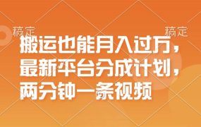 搬运也能月入过万,最新平台分成计划,一万播放一百米,一分钟一个作品-吉祥副业