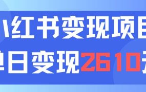 利用小红书卖资料单日引流150人当日变现2610元小白可实操(教程+资料)-吉祥副业