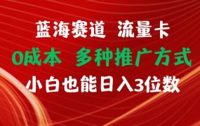 蓝海赛道 流量卡 0成本 小白也能日入三位数-吉祥副业