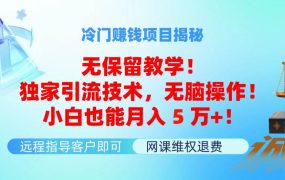 冷门赚钱项目无保留教学！独家引流技术，无脑操作！小白也能月入5万+！-吉祥副业