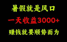 一天收益3000+ 赚钱就是顺势而为,暑假就是风口-吉祥副业
