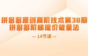 拼多多原创高阶技术第38期，拼多多阶梯提价破量法（14节课）-吉祥副业