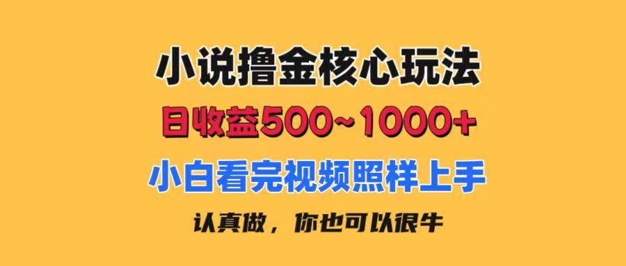小说撸金核心玩法，日收益500-1000+，小白看完照样上手，0成本有手就行-吉祥副业