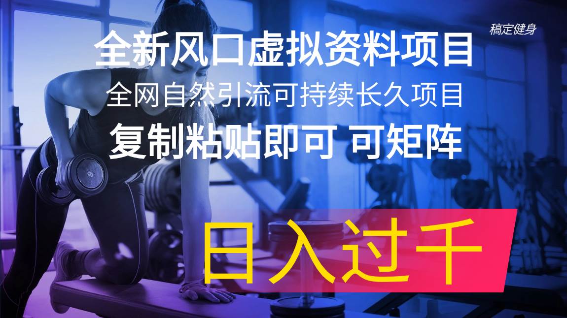 全新风口虚拟资料项目 全网自然引流可持续长久项目 复制粘贴即可可矩阵…-吉祥副业