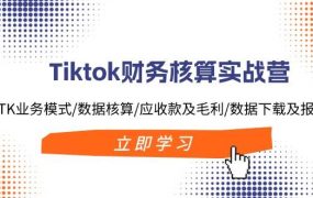 Tiktok财务核算实战营:TK业务模式/数据核算/应收款及毛利/数据下载及报表-吉祥副业