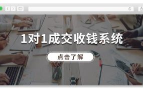 1对1成交 收钱系统,十年专注于引流和成交,全网130万+粉丝-吉祥副业