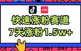 涨粉超快蓝海赛道!轻松伪原创,7天涨粉1.5w+-吉祥副业