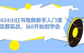 2024小红书电商新手入门课,店群实战,从0开始到学会(31节)-吉祥副业