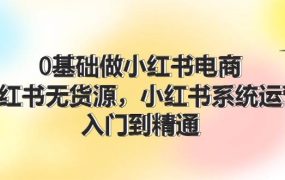 0基础做小红书电商，小红书无货源，小红书系统运营，入门到精通 (70节)-吉祥副业