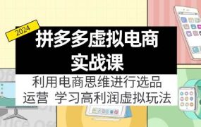 拼多多虚拟电商实战课:虚拟资源选品+运营,高利润虚拟玩法(更新14节)-吉祥副业