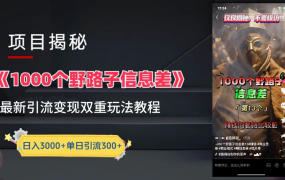 抖音一千个野路子信息差最新玩法教程-变现+引流的玩法具体拆解-吉祥副业