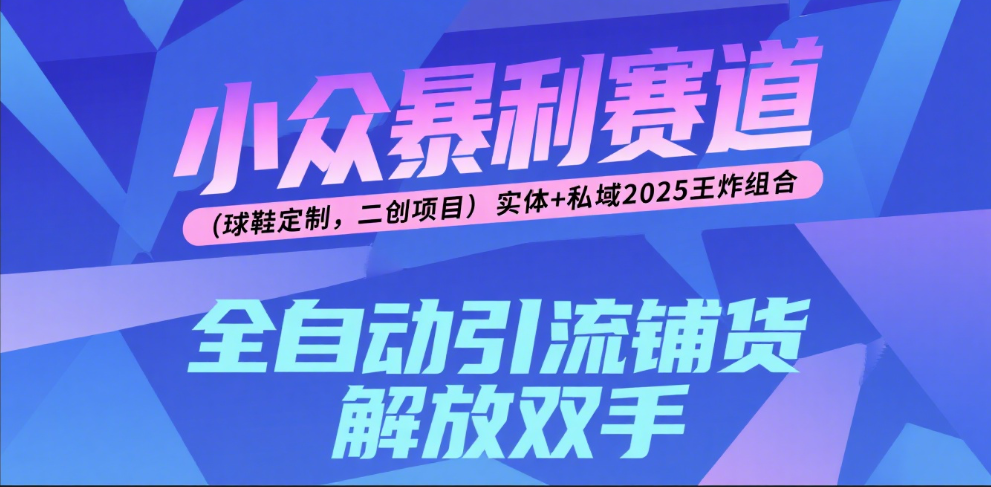 楠—小众暴利赛道（球鞋定制，二创项目）实体+私域2025王炸组合-吉祥副业