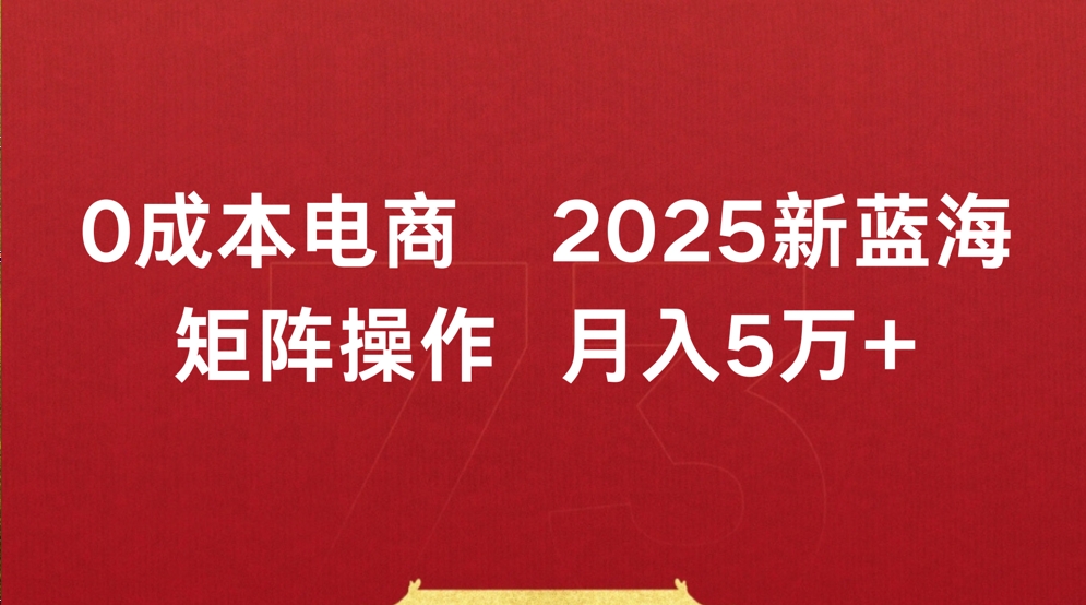 0成本电商2025新蓝海矩阵操作 月入5万+-吉祥副业