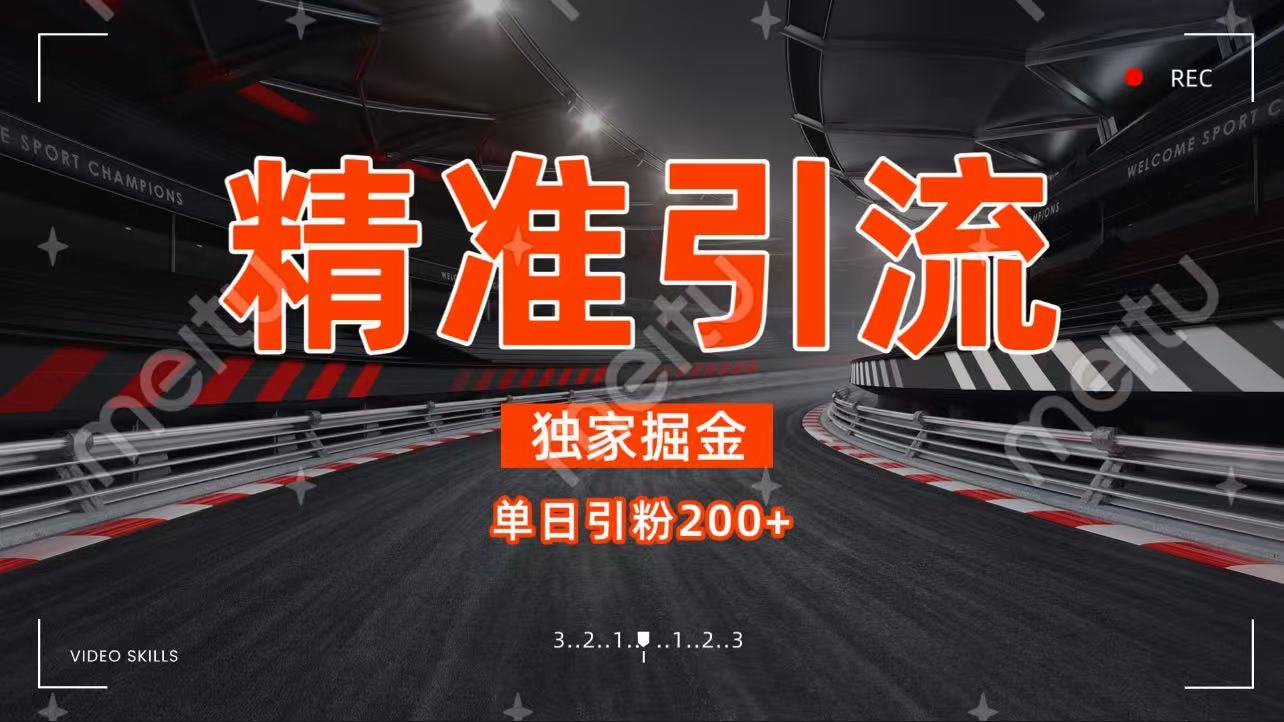 独家野路子精准引流 每日200+-吉祥副业