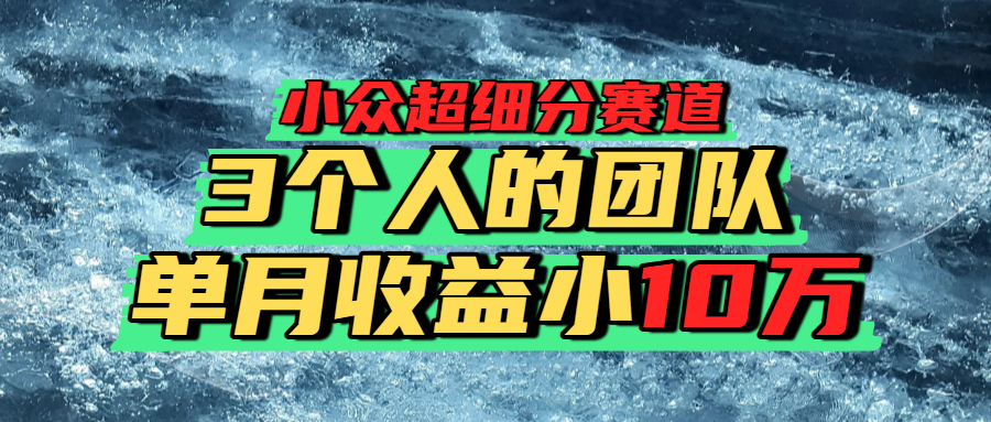 小众超细分赛道，一年百万利润的盘子！-吉祥副业