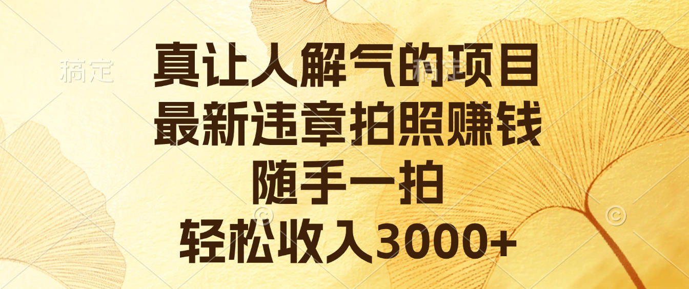真让人解气的项目，最新违章拍照赚钱，随手一拍，轻松收入3000+-吉祥副业